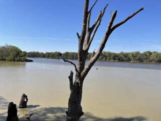 The confluence of the Murray and Darling rivers