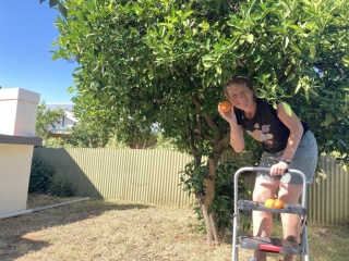 CC gathers fruit from the garden