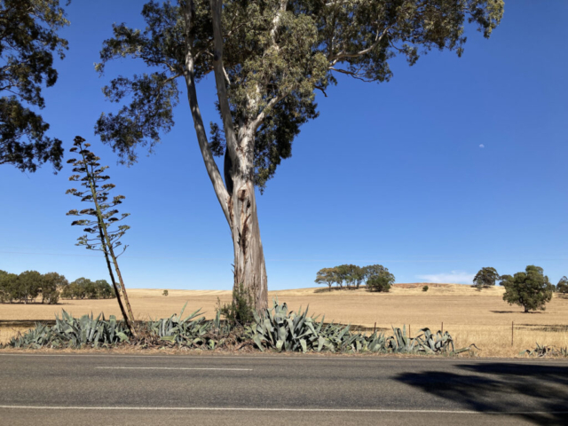 View across the road from Winkler Park