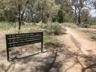 Trail signpost at Kings Billabong Park