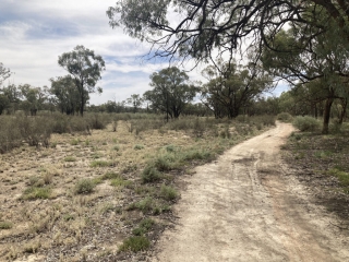 View of the trail