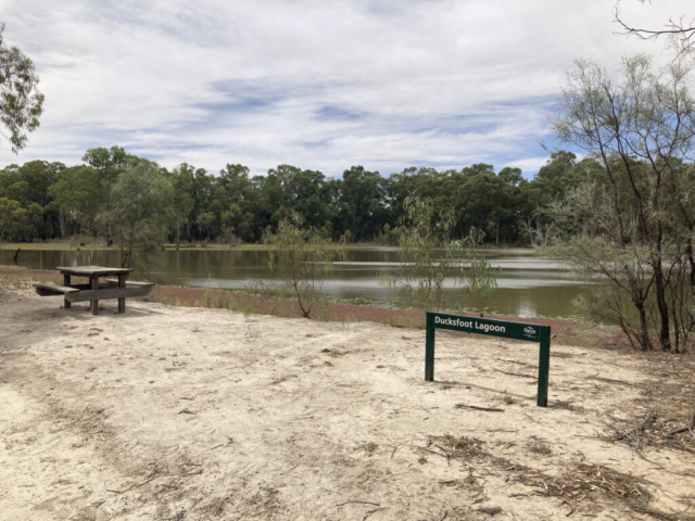 Ducksfoot Lagoon