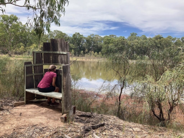 CC in a 'minimalist' bird hide