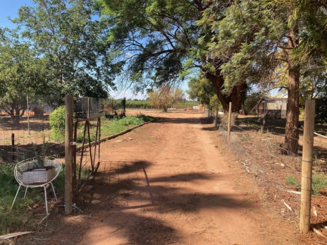 Our driveway