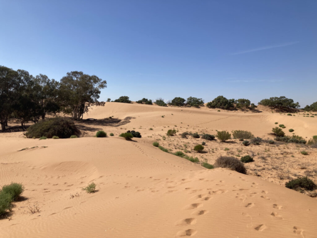 View of the sand dunes