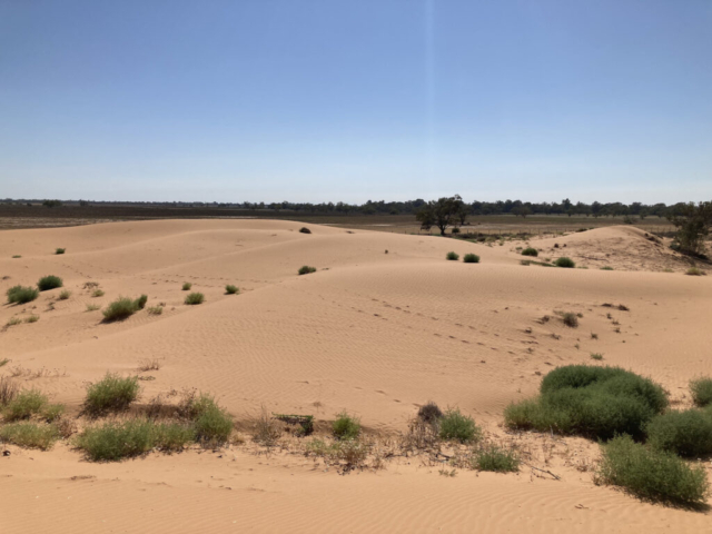 Up in the sand dunes