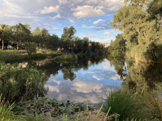 Wollundry Lagoon