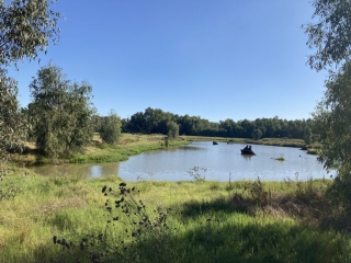 Marrambidya Wetland