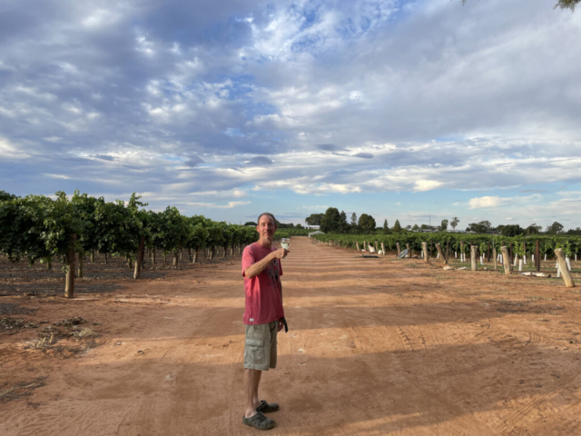 PB enjoys wine on our very very long driveway