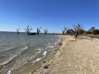 Barmera lake shore