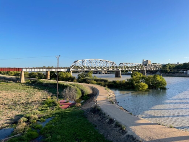 Walking track on the other side of the river from Murray Bridge