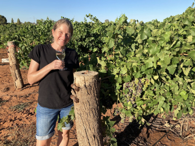 CC enjoys wine in the vines