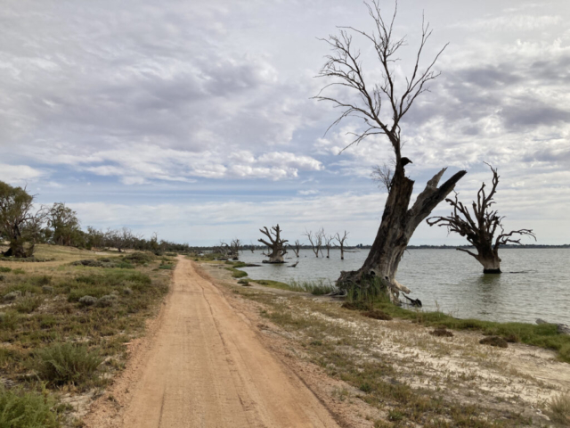 Walkway along Barmera Lake