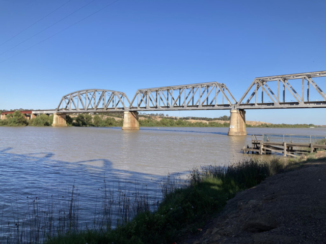 The railway bridge over the Murray River