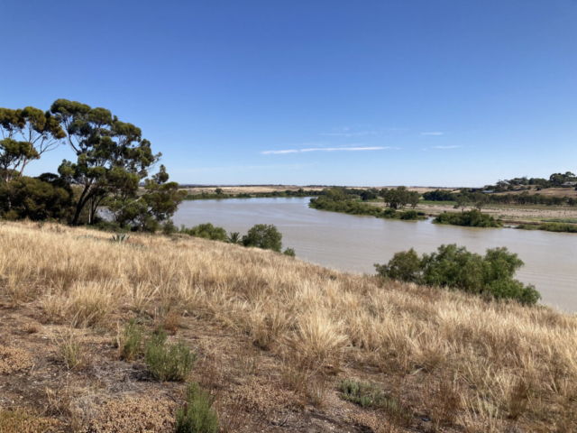 View of the Murray River