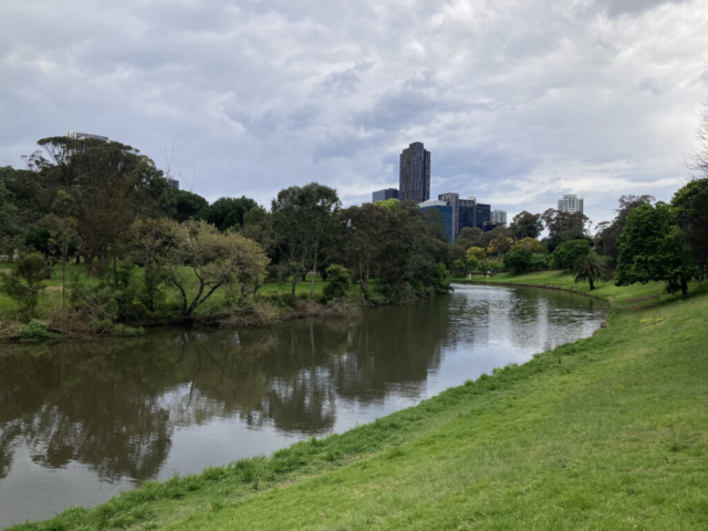 The Parramatta River