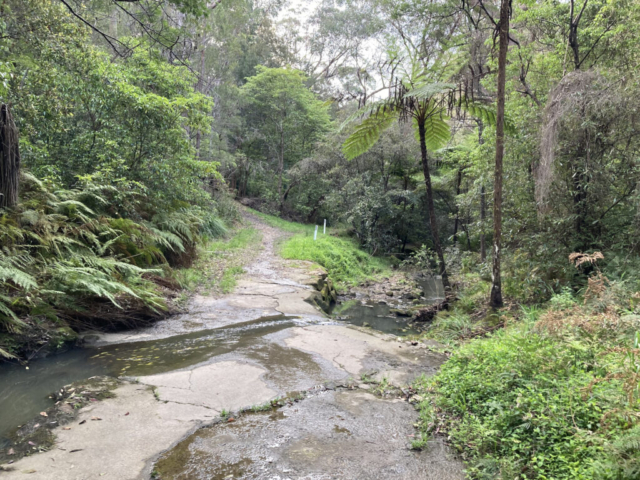 Dog Pound Creek Bushland