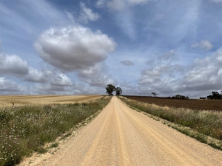 View along the 'trail'