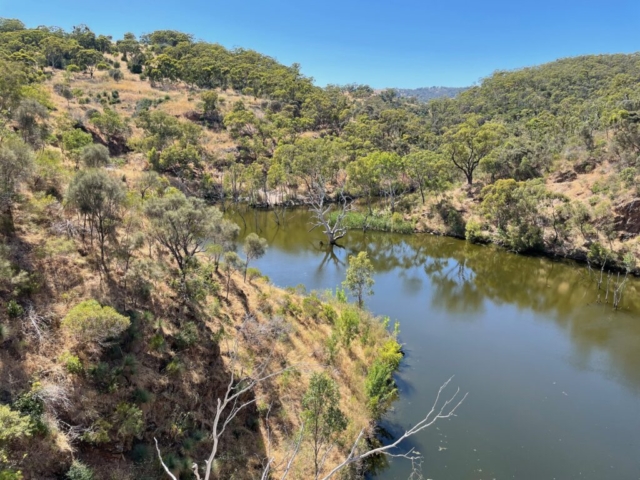 Sturt Gorge