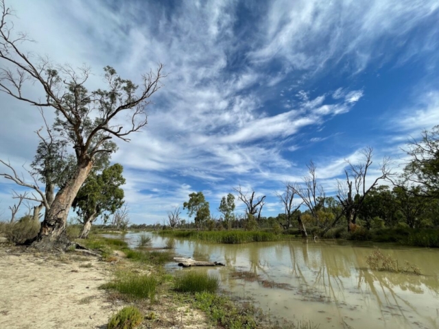 By the river