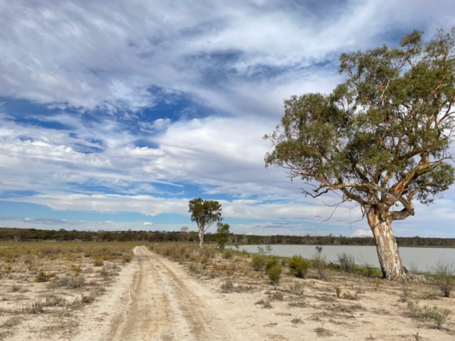 The trail along the Murray River