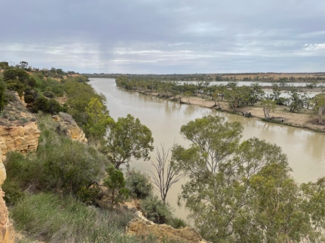 View of the Murray River from Waikerie