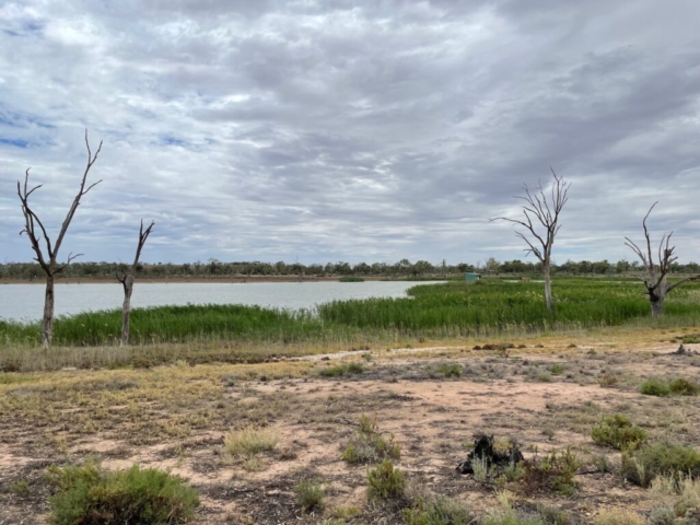 Hart Lagoon, Waikerie