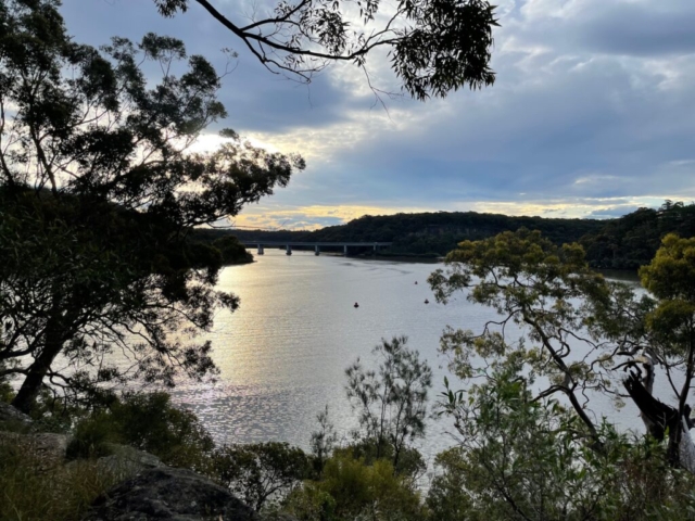 The view from our nearby bushwalking area