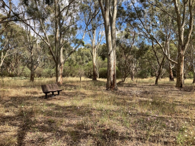 A lonely bench by Riverton Duck Pond