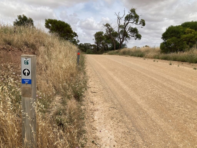 The Lookout Trail (otherwise know as a road with a signpost on it)