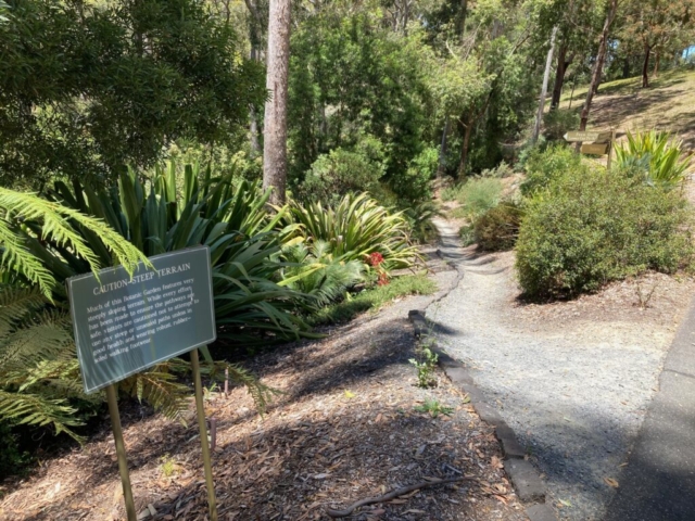 Entrance to one of the gullies in Mt Lofty Botanic Garden