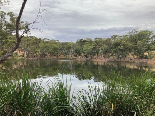 One of the short walks goes around a large lake