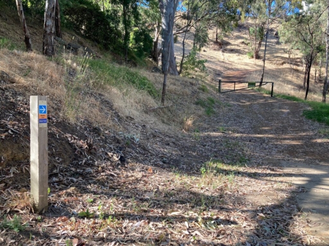 A trail in the park