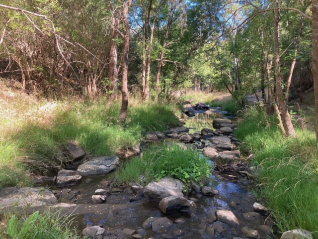 A creek running through the park