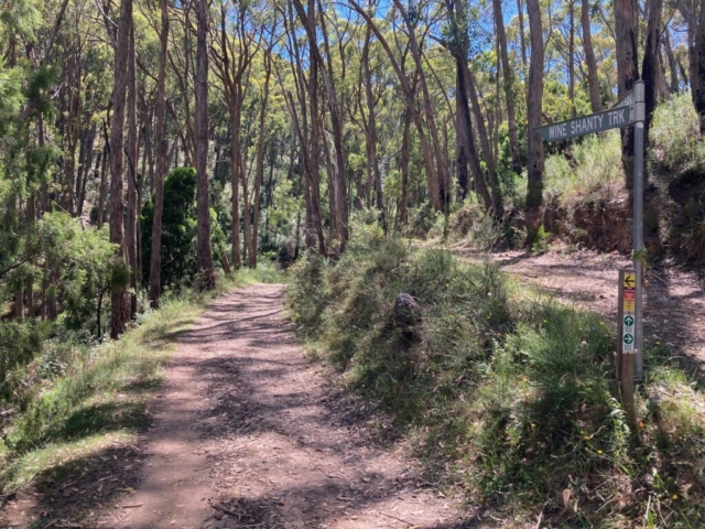 The Wine Shanty Track