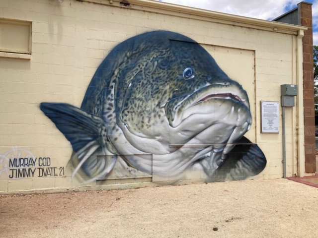 Mural of a Murray Cod in Waikerie