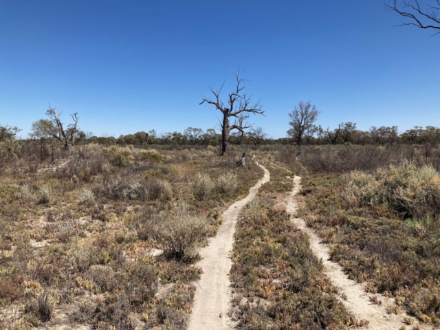 Martin's Bend Reserve - Berri