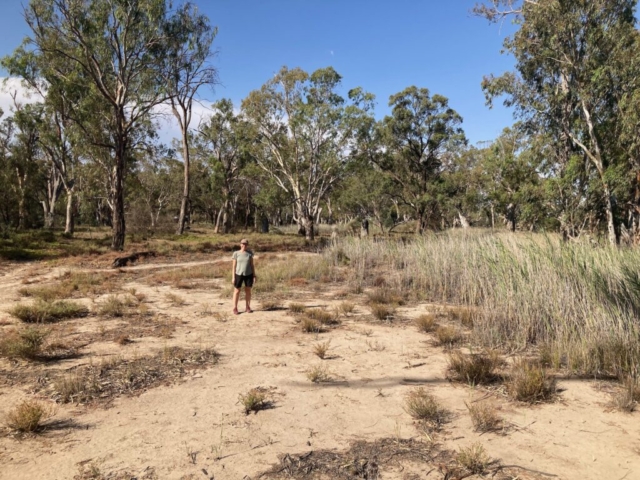 CC in Martin's Bend Reserve