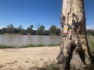 Paringa Paddock trail