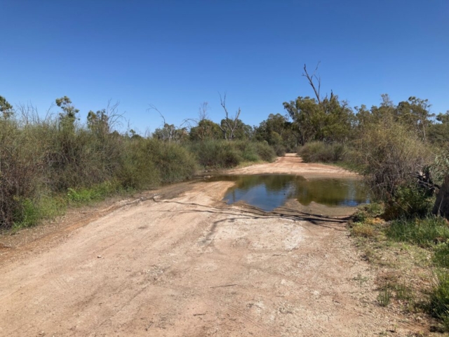 The trail is wide and water-covered