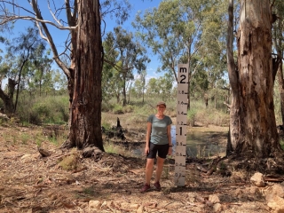 CC in Paringa Paddock demonstrating that it's not really flooded at the moment