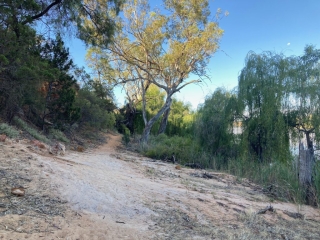 Trail along the river bank