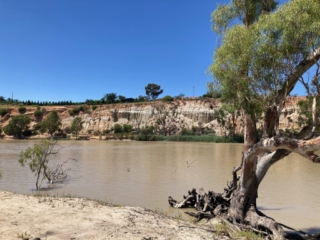 Red cliffs on the Murray River