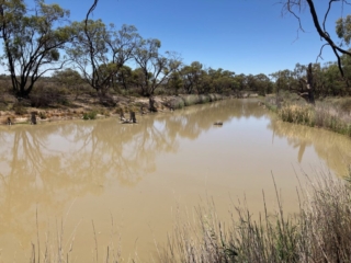 The Murray River