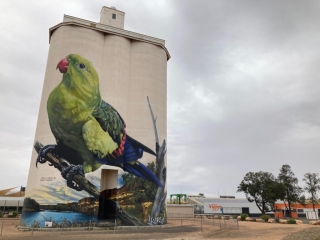 Silo Art in Waikerie