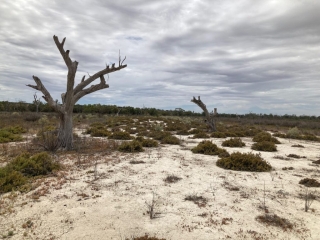 On the Hart Lagoon trail