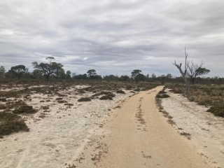 The trail around Hart Lagoon