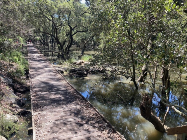 Lime Kiln Wetlands