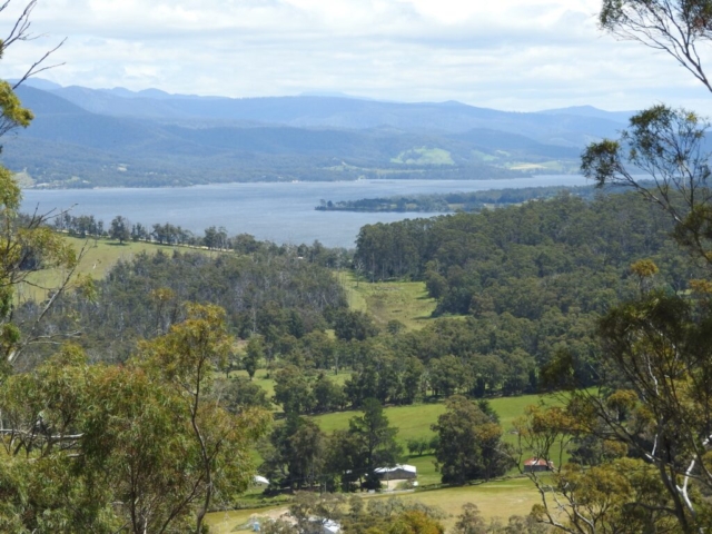 View from Echo Sugarloaf reserve