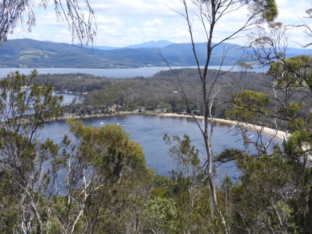 Looking back down on Randalls Bay from Echo Sugarloaf reserve